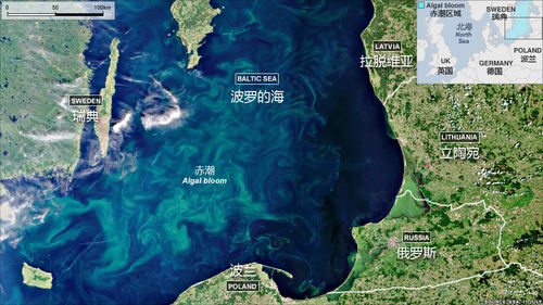 从卫星图上可以看到,波罗的海被庞大的赤潮所笼罩